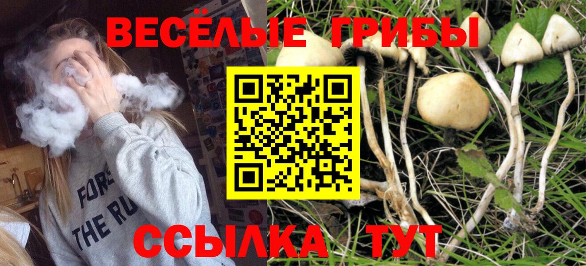 Галлюциногенные грибы мицелий Псков