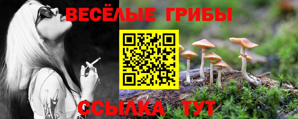 где купить наркотик  Вход с VPN  Псков  Галлюциногенные грибы ЛСД 