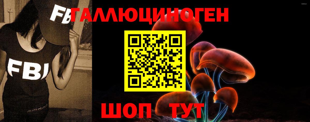 МЕТАДОН Псков